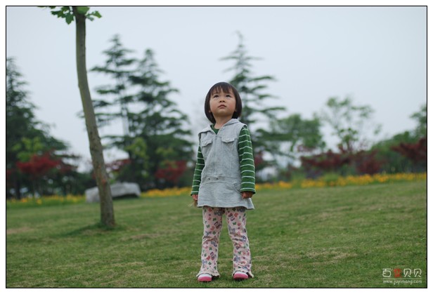 大路考过，等驾照