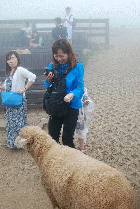 新本领·“说”不·“爬”手